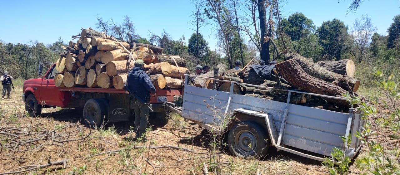 Asegura SSC camioneta y remolque con material forestal en San Luis Teolocholco